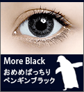 EYE ZOO Premium���⥢�֥�å�