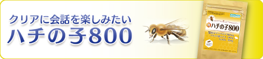ハチの子800